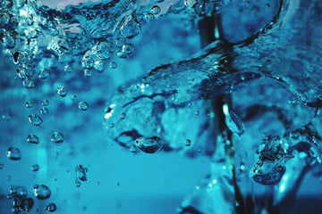 Langlebigkeit dank Hyaluron – Die erstaunlichen Eigenschaften des Nacktmulls - PROCEANIS