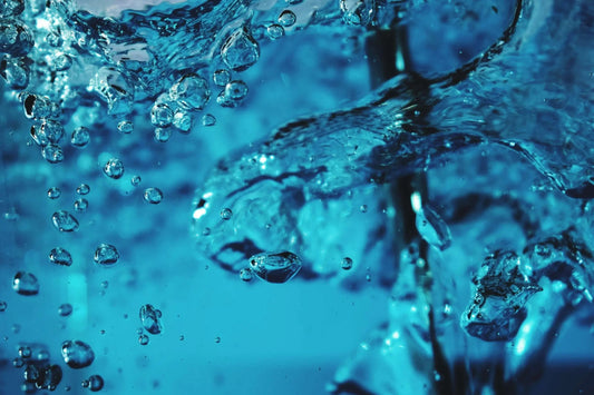 Langlebigkeit dank Hyaluron – Die erstaunlichen Eigenschaften des Nacktmulls - PROCEANIS