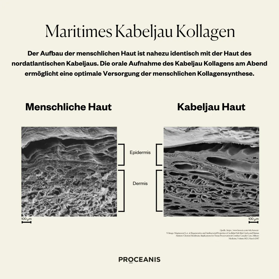 Collagen Drink Traveller 10 x 25 ml Mein Shop