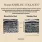 Arctic Marine Collagen