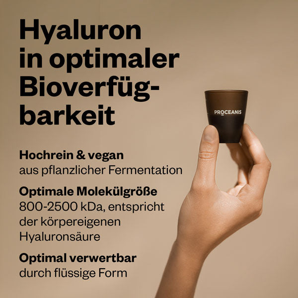 Hyaluron Drink 2x200 ml