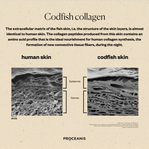Collagen Drink </br>Mono bottle - Image 3
