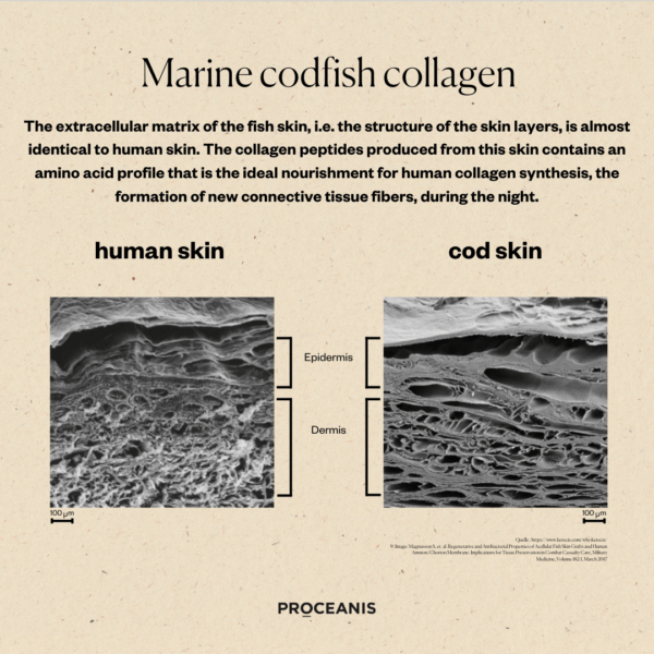 DAY & NIGHT </br>Hyaluron Drink & Collagen Drink - Image 4