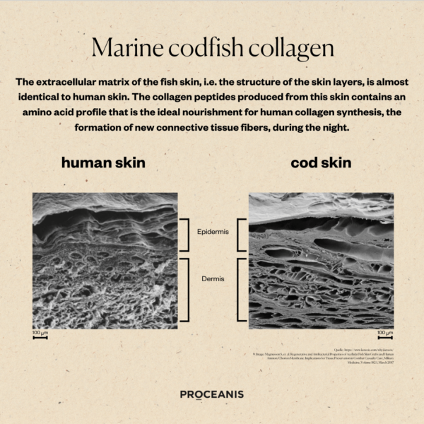 PROCEANIS DAY & NIGHT </br>Hyaluron Drink & Collagen Drink