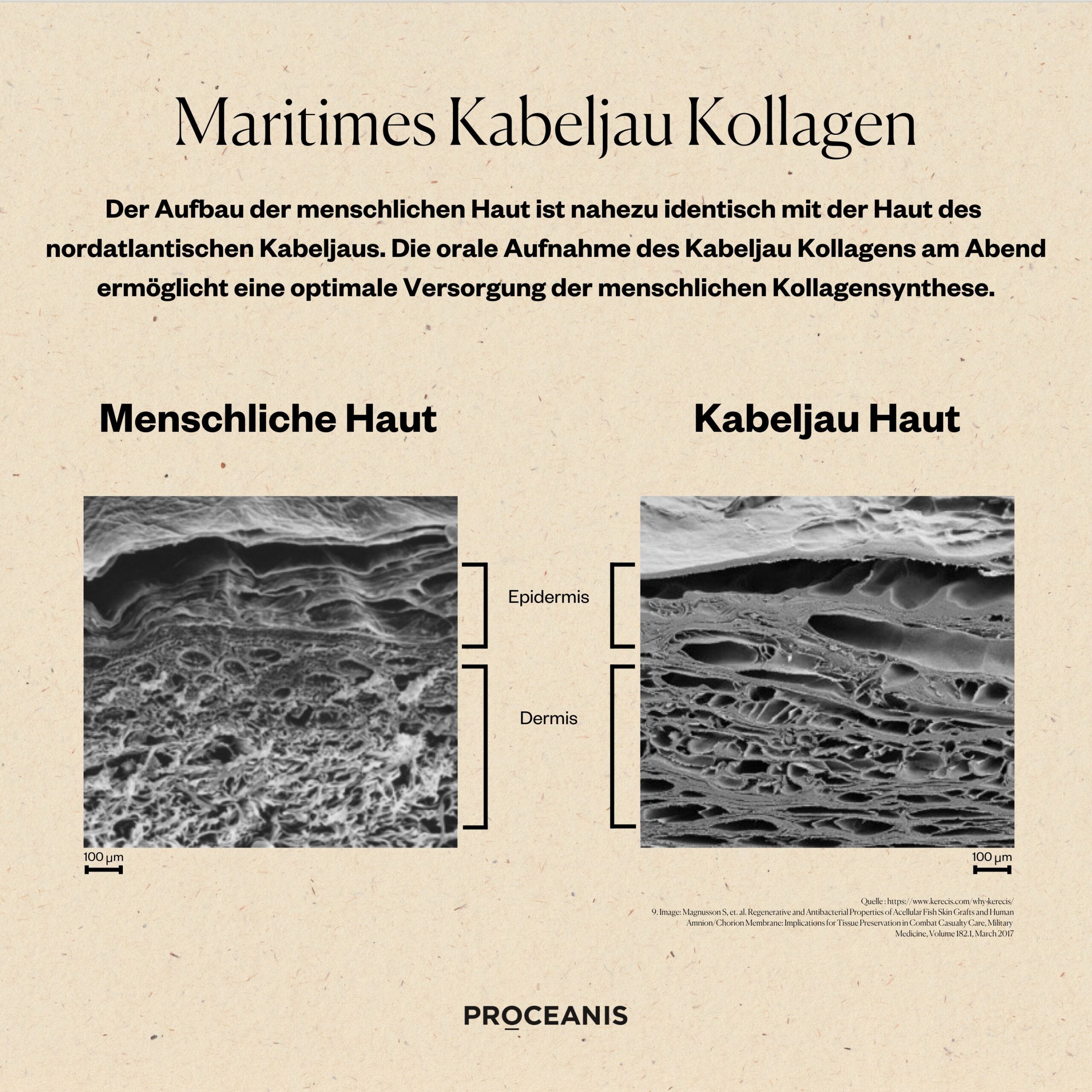 Limited Edition Christmas 25 – Bild 10